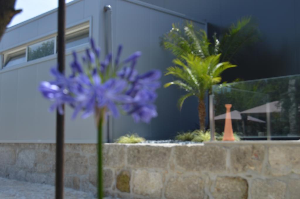 Quinta Das Tulipas Villa Barcelos Exterior photo